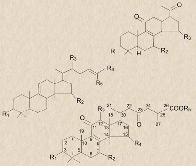 圖片關鍵詞 圖片關鍵詞