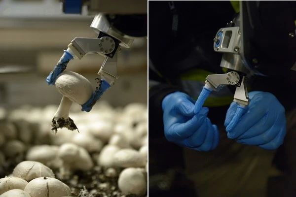 圖片關(guān)鍵詞